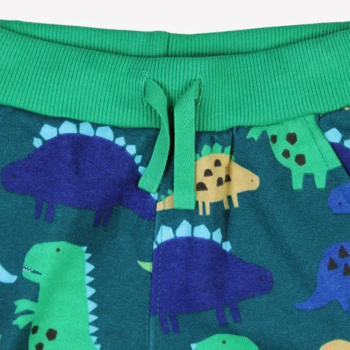 Joggers- dinosaur print
